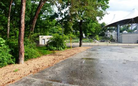 Analyse und Beratung